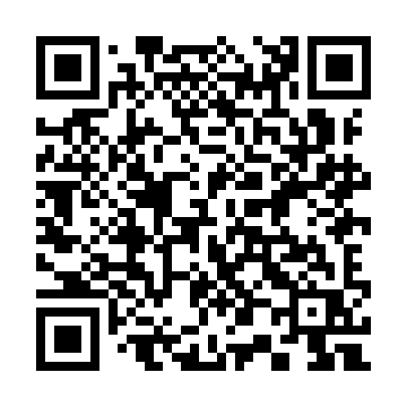 QR code for 308IIR