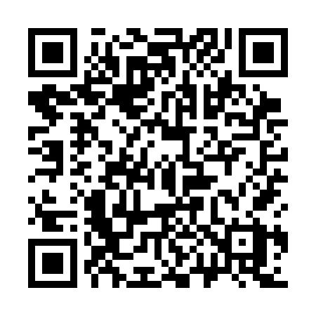QR code for 309SFX