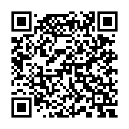 QR code for 311DMV