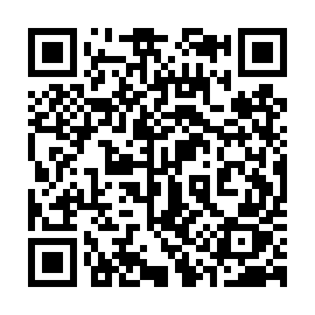 QR code for 311DUZ