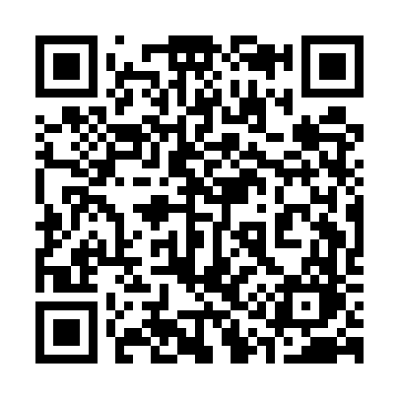 QR code for 311EVO