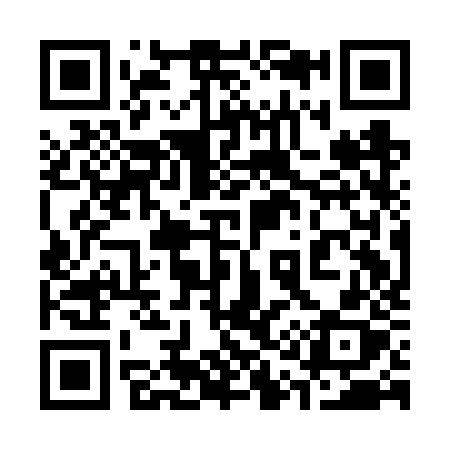 QR code for 311FZX