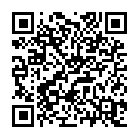 QR code for 311ICE