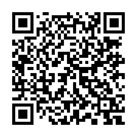 QR code for 311LCS