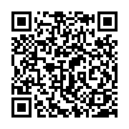 QR code for 311LSP
