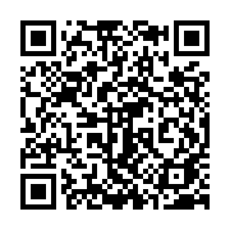 QR code for 311MPA