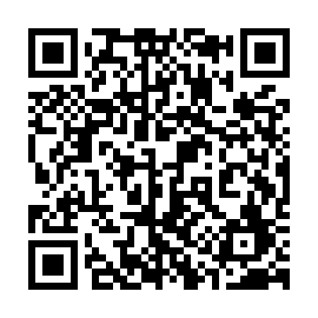 QR code for 311MSF