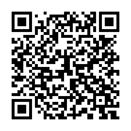 QR code for 311NTW