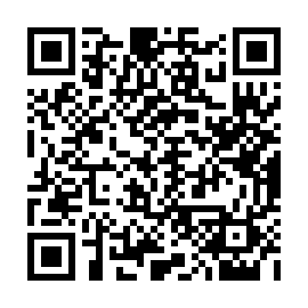 QR code for 311PGR