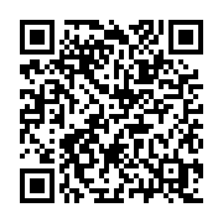 QR code for 311PHD