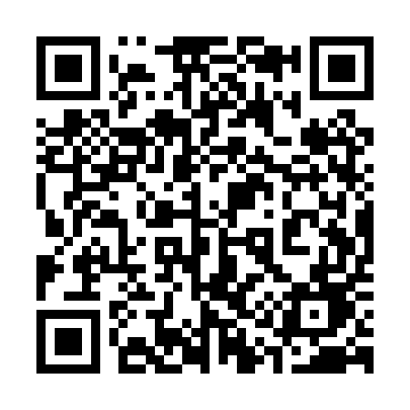 QR code for 311PUD