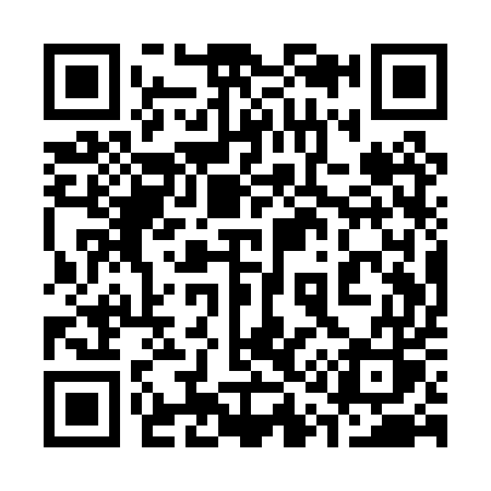 QR code for 311PUS