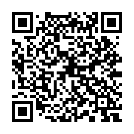 QR code for 311RTI