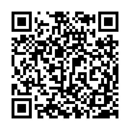 QR code for 311RVS