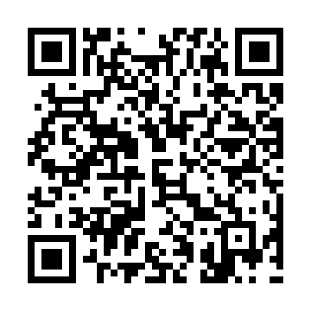 QR code for 311STF