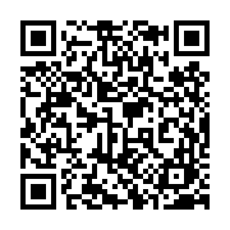 QR code for 311TVL