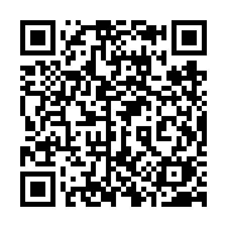 QR code for 311VSM