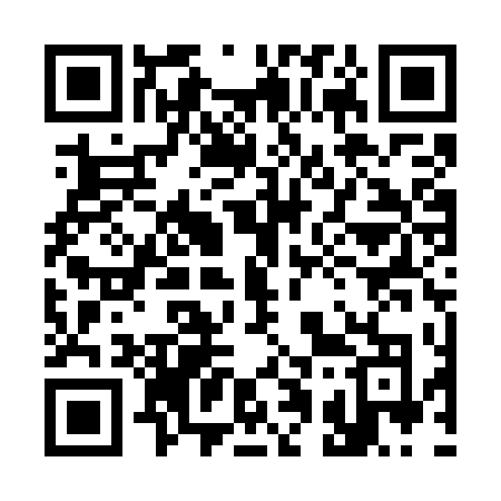 QR code for 311WTO