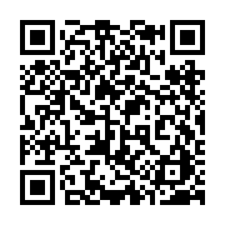 QR code for 313BBC
