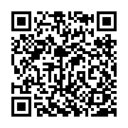 QR code for 313BJP