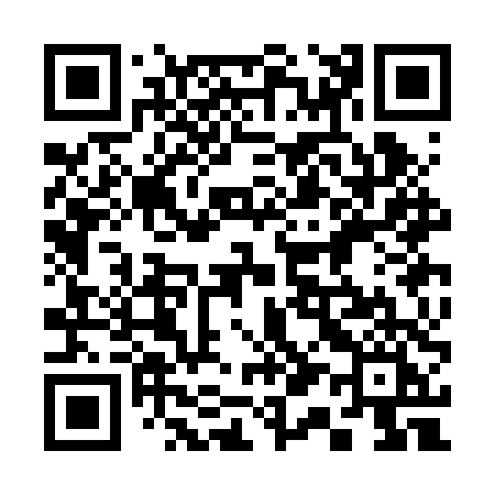 QR code for 313BTI