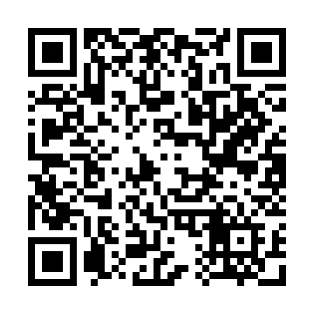 QR code for 313CCF