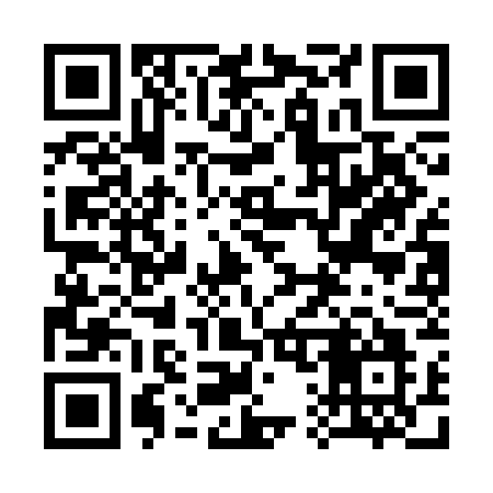 QR code for 313CGO