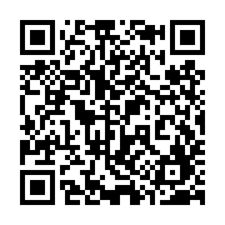 QR code for 313DYF