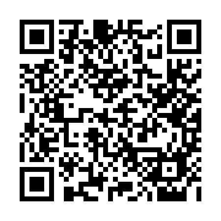QR code for 313EOF