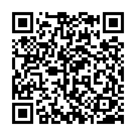 QR code for 313EVX