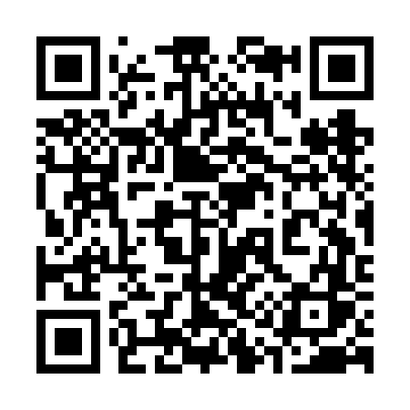 QR code for 313FFS