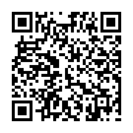 QR code for 313GFS