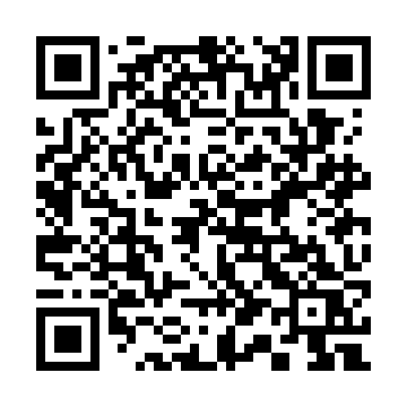 QR code for 313GJS