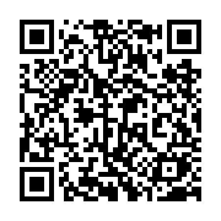 QR code for 313GOM