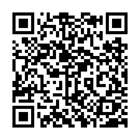 QR code for 313GOX