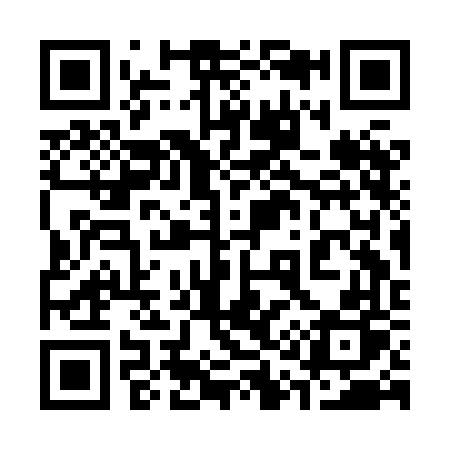 QR code for 313HFP