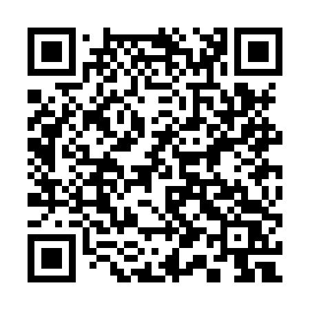 QR code for 313HTS
