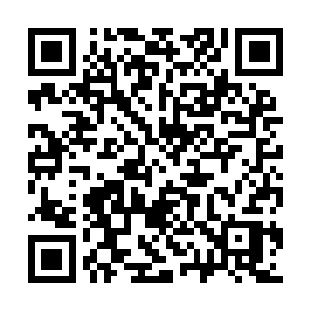 QR code for 313ICR