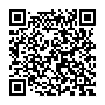 QR code for 313IPE