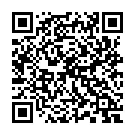 QR code for 313IRD