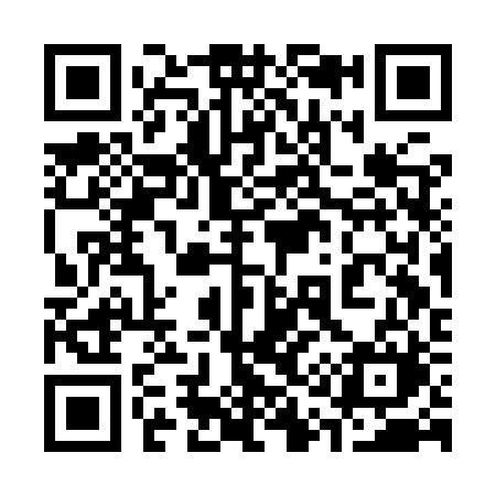 QR code for 313IRM