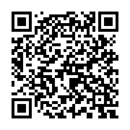 QR code for 313JDZ