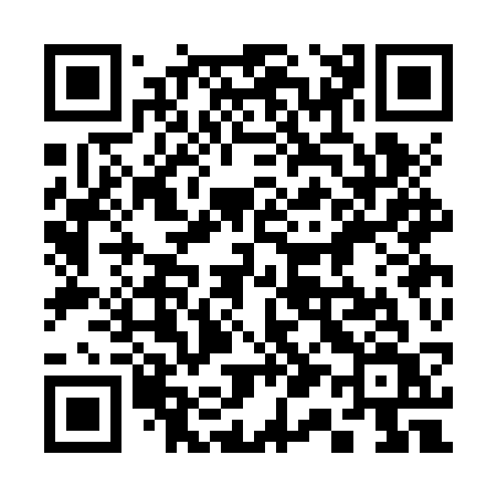 QR code for 313JSV