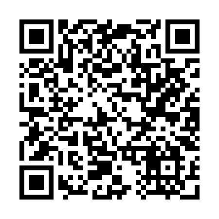 QR code for 313LKO