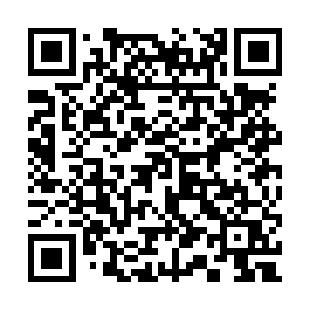 QR code for 313LUQ