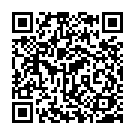 QR code for 313MGK