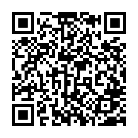 QR code for 313MLR