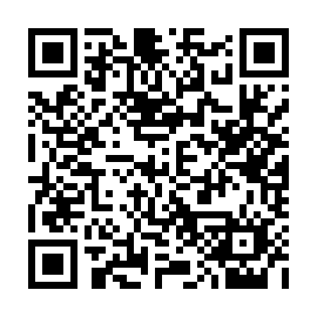 QR code for 313MYN