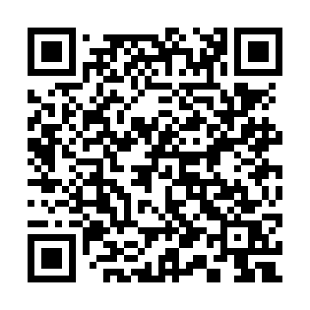 QR code for 313NGS