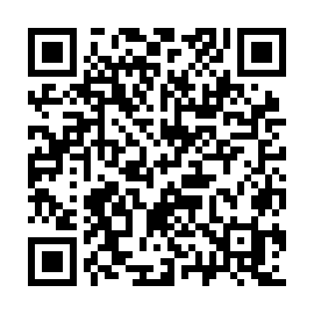 QR code for 313NOI